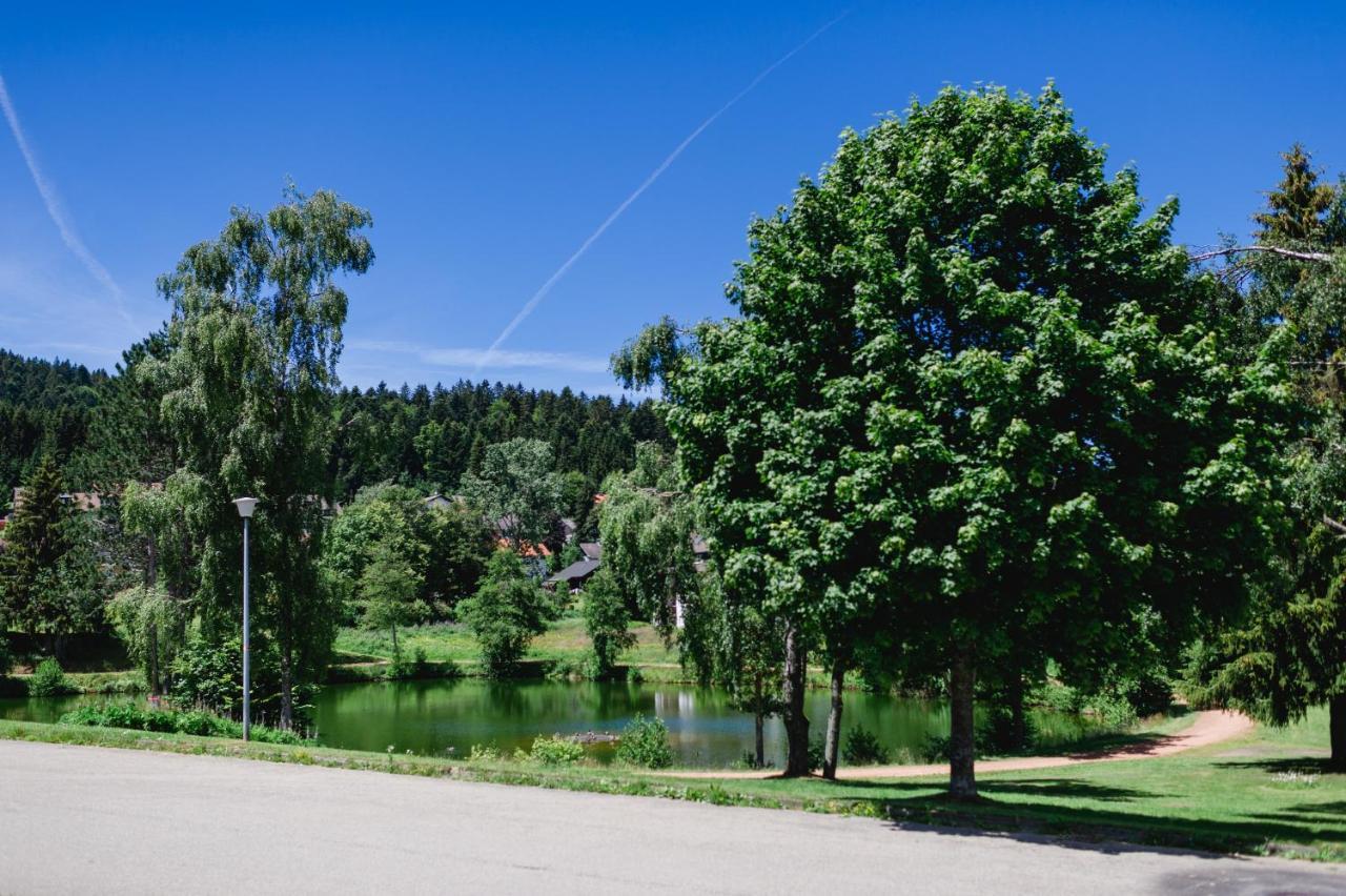 Ferienwohnung Am Skilift Herrischried Exterior foto